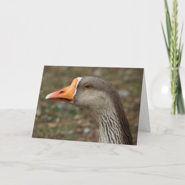 Tarjeta Greylag Swan Goose Cross (Anverso)
