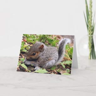 Tarjeta Gris del bebé