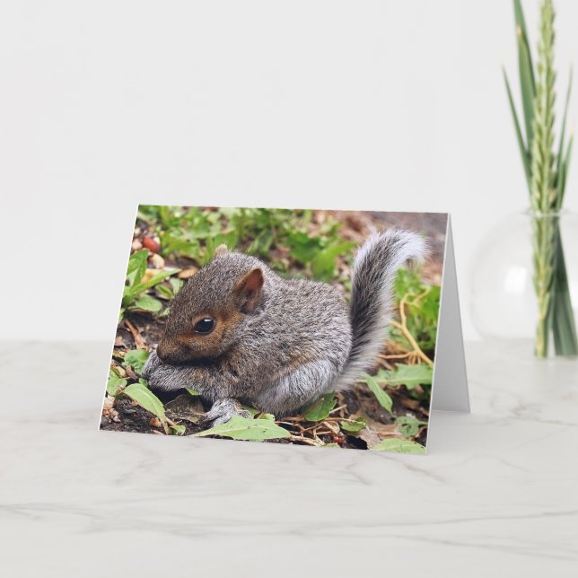 Tarjeta Gris del bebé (Anverso)