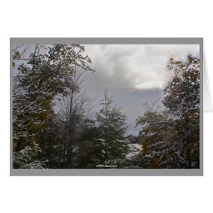 Tarjeta gris del día