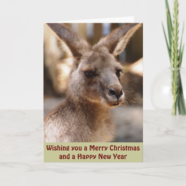 Tarjeta gris del este de Navidad del canguro (Anverso)