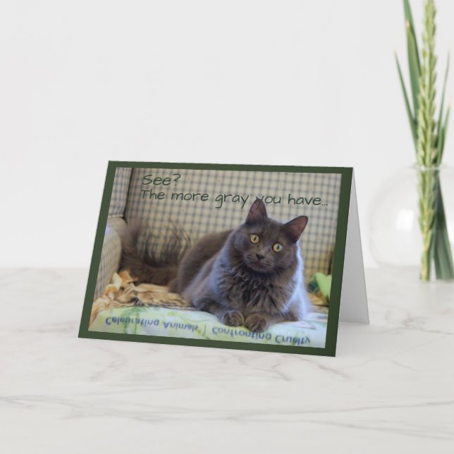 Tarjeta Gris Fluffy Cat sobre la silla (Anverso)