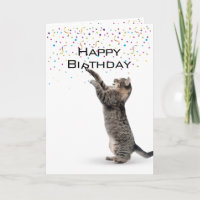 Gris grisáceo feliz de cumpleaños