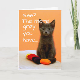 Tarjeta Gris lindo gatito sobre fondo Naranja