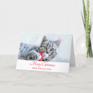 Tarjeta Gris lindo Navidades gatos Gorras Navidad