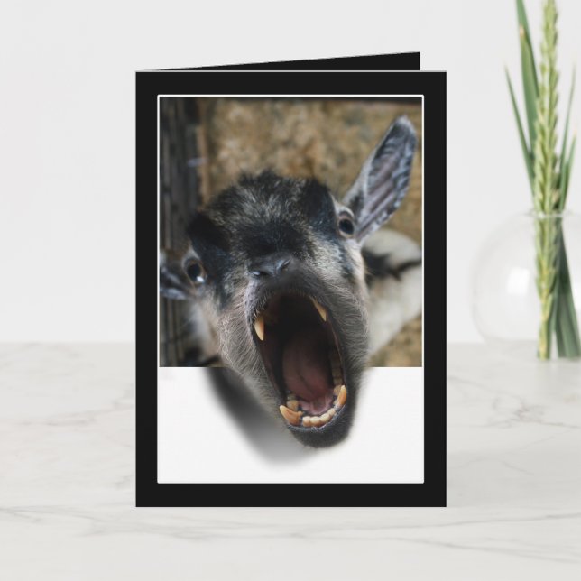 Tarjeta Gritos de cabra para salir (Anverso)