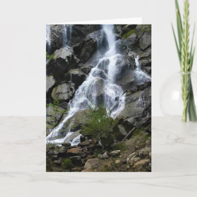 Tarjeta Grizzly Falls, Parque Nacional del Cañón del Rey,  (Anverso)