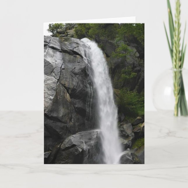 Tarjeta Grizzly Falls, Parque Nacional del Cañón del Rey,  (Anverso)