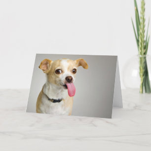 Tarjeta grosera de la chihuahua