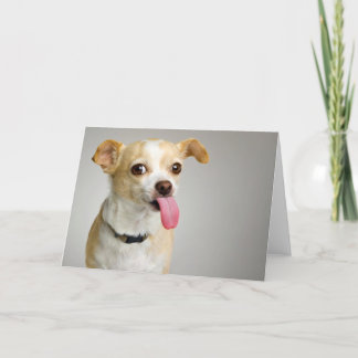 Tarjeta grosera de la chihuahua