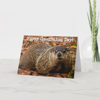 Tarjeta Groundhog