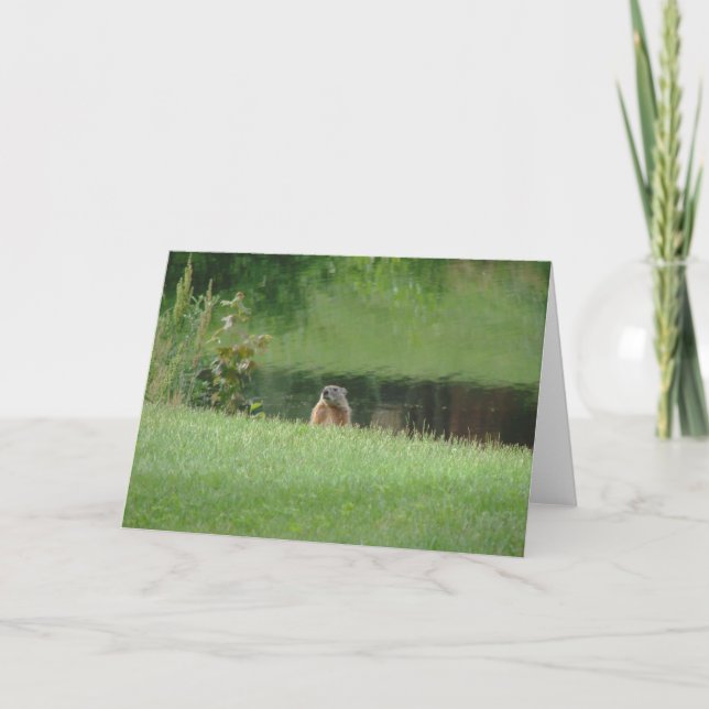 Tarjeta Groundhog (Anverso)