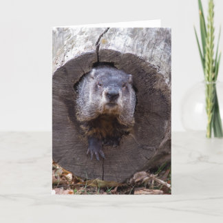 Tarjeta Groundhog