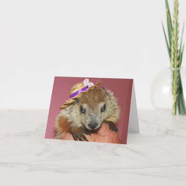 Tarjeta Groundhog Clara Note Card 1 (Anverso)