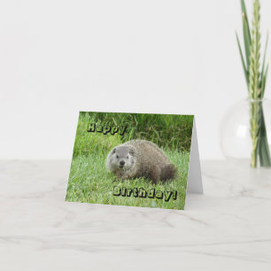 Tarjeta Groundhog del feliz cumpleaños