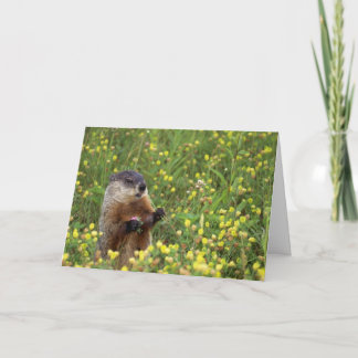 Tarjeta Groundhog Pose