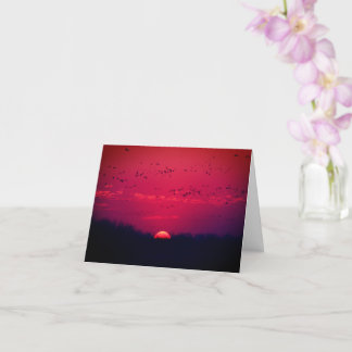 Tarjeta Grúa Sandhill en Sunset notecard 1 Nebraska 2018