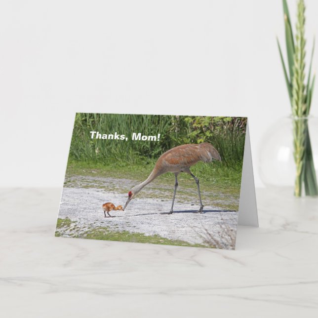 Tarjeta Grúas de Sandhill del pájaro de la madre y del (Anverso)