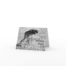 Grúas de Sandhill en la carta Pensando en ti