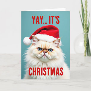Tarjeta Grumpy Santa Cat Navidad