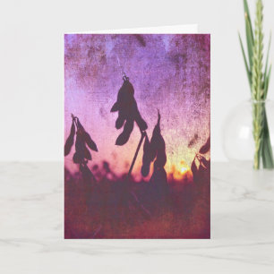 Tarjeta Grunge de sol de soja, cumpleaños