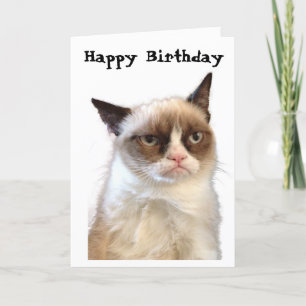 Tarjeta gruñona del feliz cumpleaños del gato