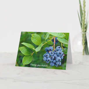 Tarjeta grupo de arándanos para perderse