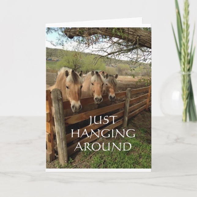 TARJETA GRUPO DE CABALLOS DE GUAY DICE "FELIZ CUMPLEAÑOS" (Anverso)