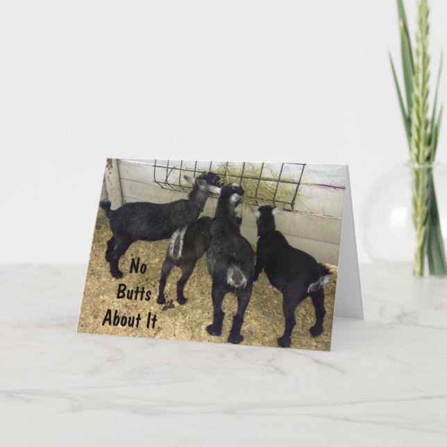 TARJETA GRUPO DE CABRAS NO ENVÍAN BOTAS SOBRE ELLA DIVERSI (Anverso)