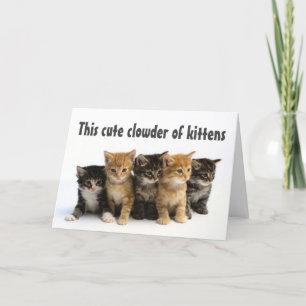 TARJETA GRUPO DE "CUTE KITTENS DICE FELIZ CUMPLEAÑOS"