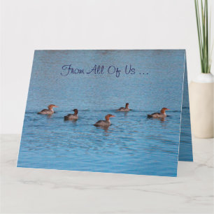 Tarjeta Grupo De Patos