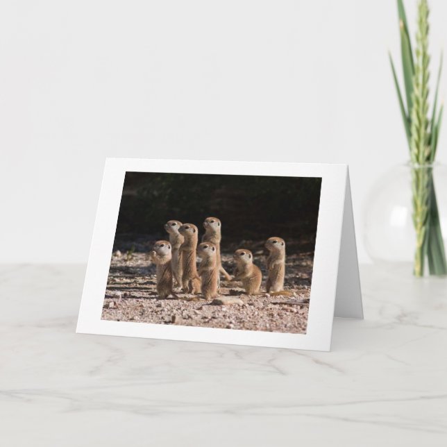 TARJETA GRUPO DE PERROS DE PRARIE ESTÁN DICIENDO FELIZ CUM (Anverso)