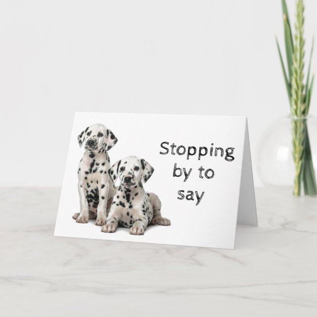 TARJETA GRUPO DE PERROS, VETERINARIO Y CAMINO DE PERROS (Anverso)