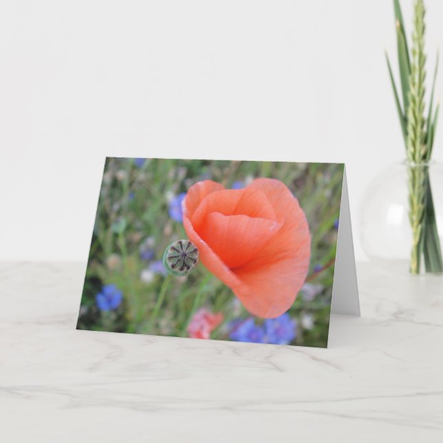 Tarjeta Grusskarte Mohnblumenherz, blanko, gestaltbar (Anverso)