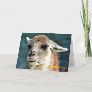 TARJETA GUANACO
