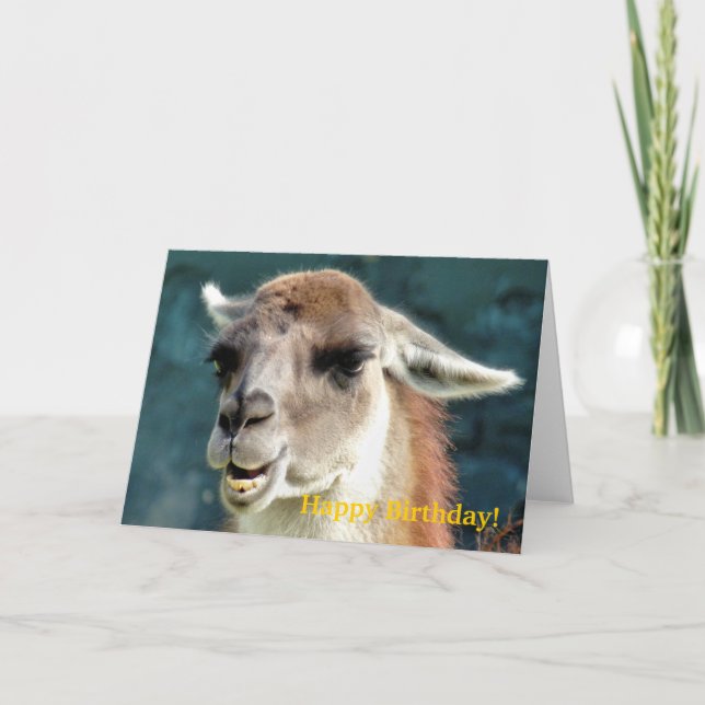 TARJETA GUANACO (Anverso)