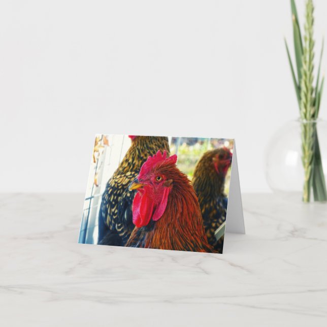 Tarjeta Guapo (Anverso)