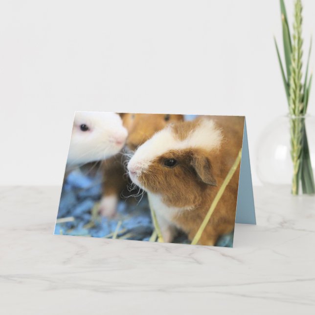 Tarjeta Guarro (Anverso)