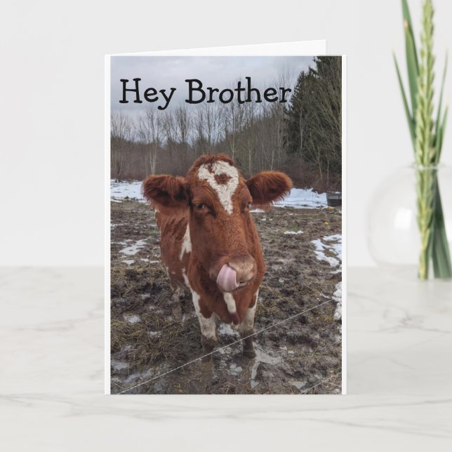 TARJETA GUAY COW DICE "FELIZ HERMANO DE CUMPLEAÑOS" (Anverso)