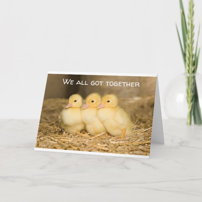 TARJETA GUAY DUCKS ***TARJETA DE GRUPO*** PARA CUMPLEAÑOS (Anverso)