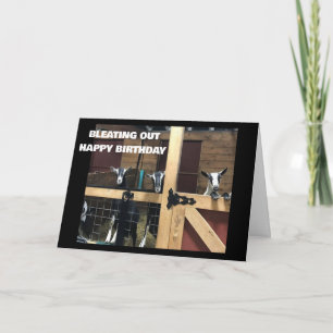 TARJETA GUAY GOATS SACUDIÓ "FELIZ CUARENTA"