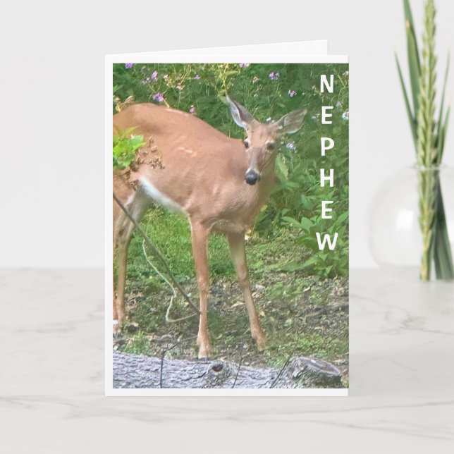 TARJETA **GUAY QUERIDO** DICE FELIZ CUMPLEAÑOS NEPHEW (Anverso)