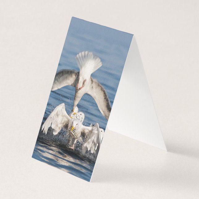 Tarjeta Guerras de buceo (Reverso)