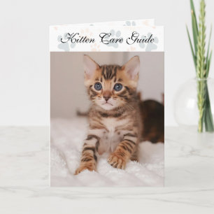 Tarjeta Guía de cuidado de gatitos doblados para gaterías