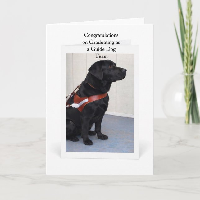 Tarjeta Guide Dog Graduation Congratulations Card (Anverso)