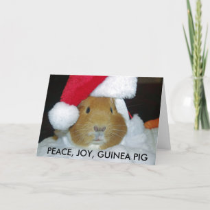 TARJETA GUINEA PIG PARA navidades