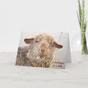 Tarjeta guiño de la cabra para el cumpleaños chistoso