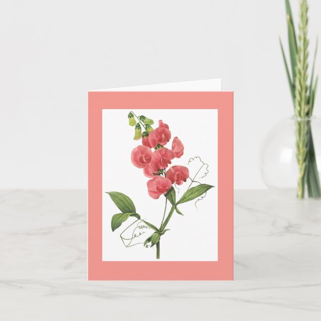 Tarjeta Guisante de olor Notecard de Redoute (Anverso)