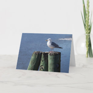 Tarjeta Gull on Pilings