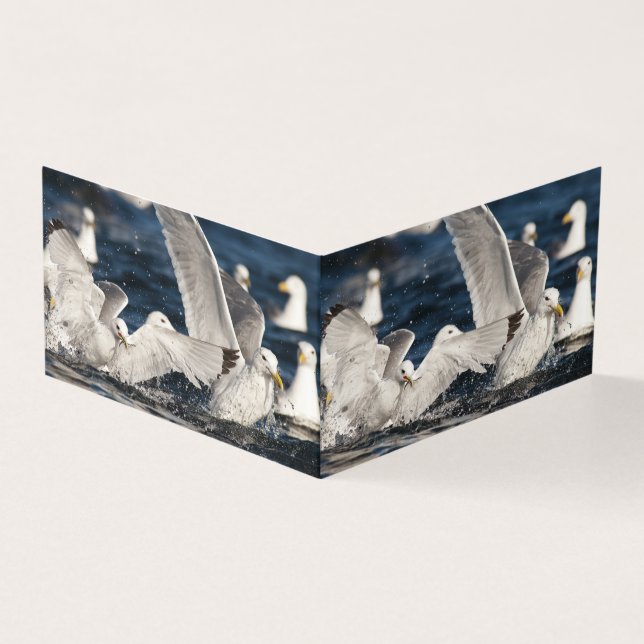 Tarjeta Gulls emergentes (Exterior)